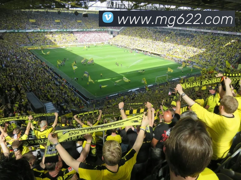 MG冰球突破平台生态图